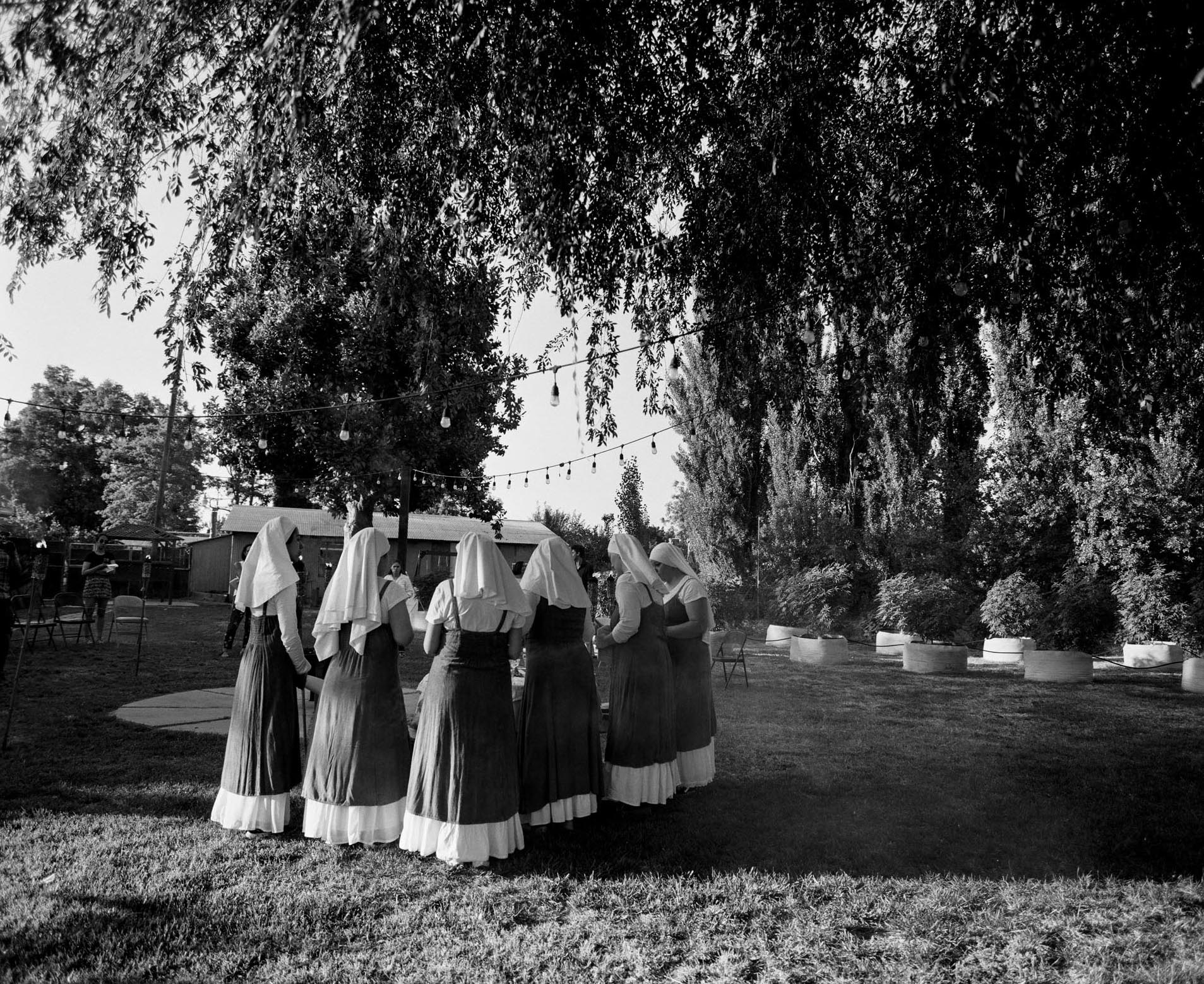weed nuns