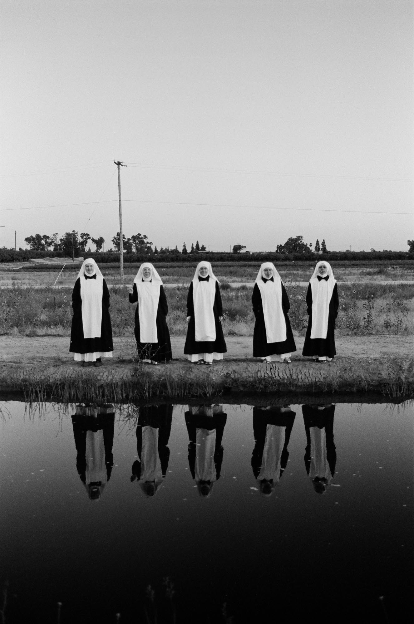 weed nuns