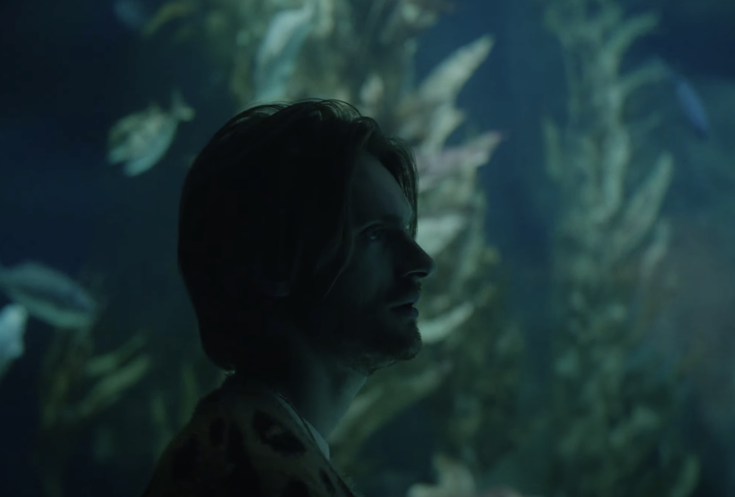 Finneas Takes Lonely Stroll Through the Aquarium in Video for ‘Only a Lifetime’