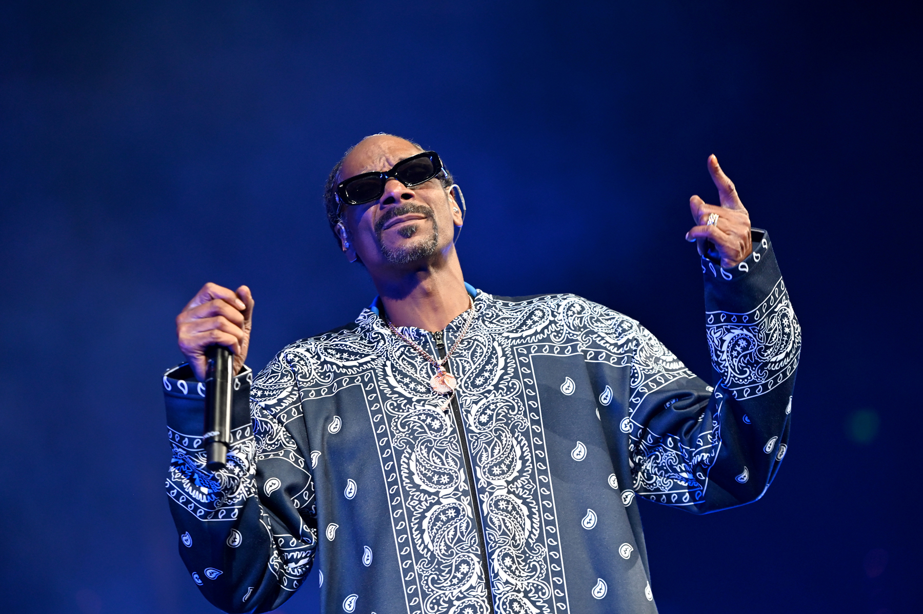 Someone Spent $450,000 for ‘Land’ Next to Snoop Dogg’s NFT House