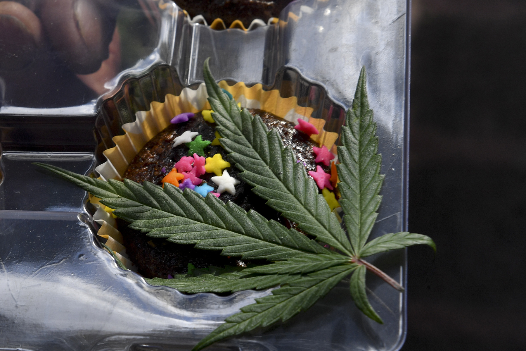 Georgia Sheriff Deputy Fired, Jailed for Selling Pot Edibles Online