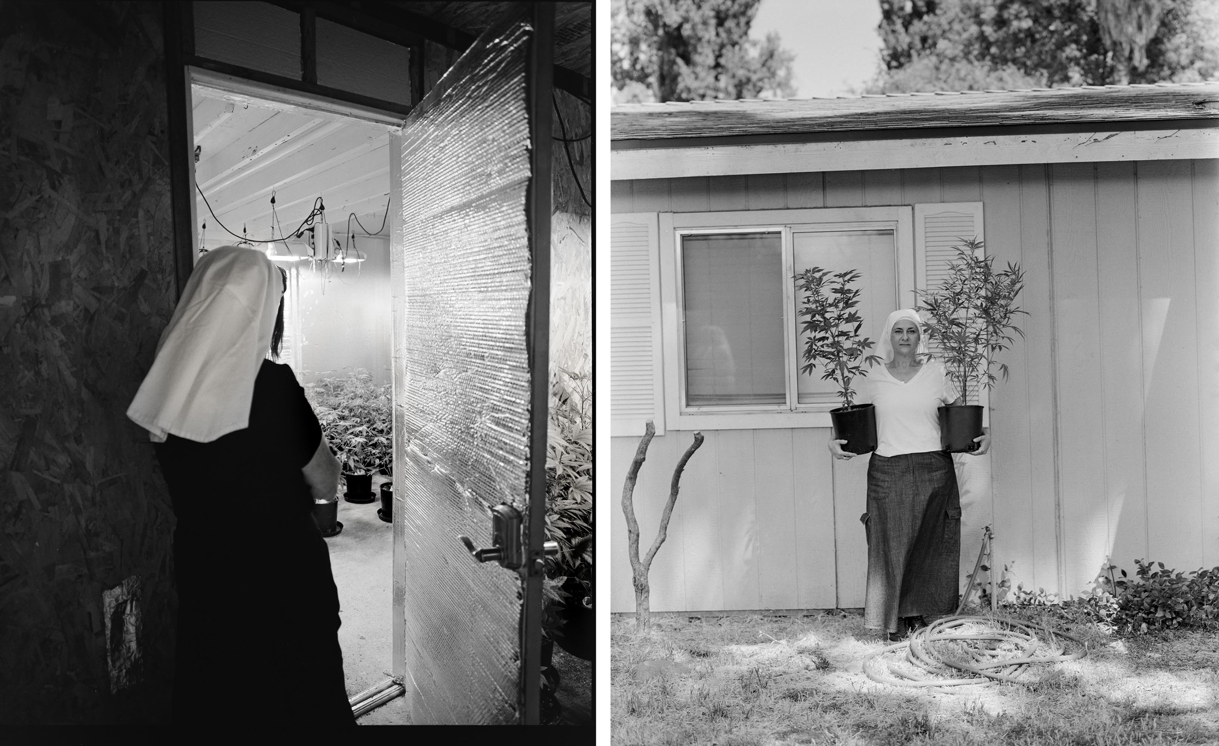 weed nuns